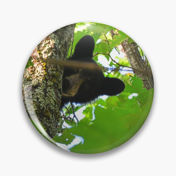 Artikelvorschau, Peek A Boo Bär entworfen und verkauft von LisaWootenPhoto.