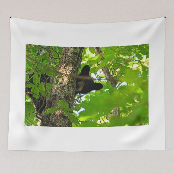 Item preview, Peek A Boo Bear designed and sold by LisaWootenPhoto.