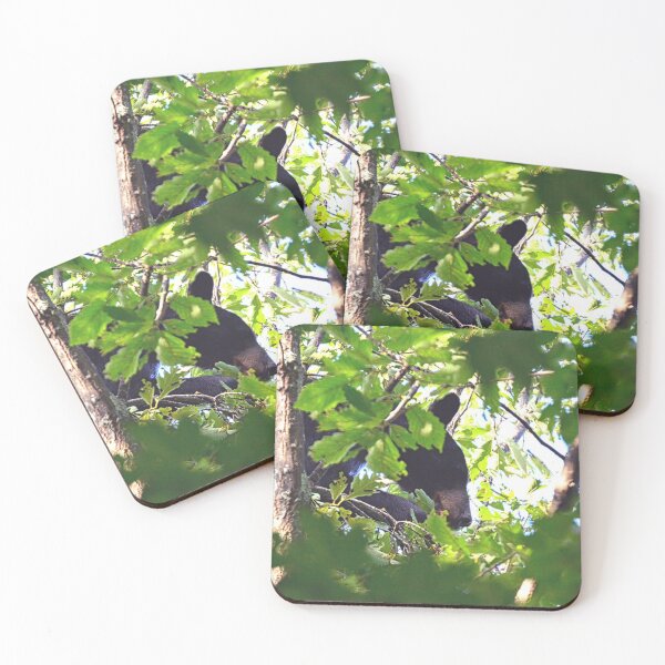 Item preview, Momma Black Bear Up In A Tree designed and sold by LisaWootenPhoto.