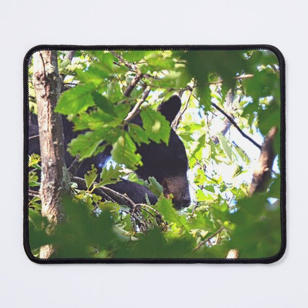 Item preview, Momma Black Bear Up In A Tree designed and sold by LisaWootenPhoto.
