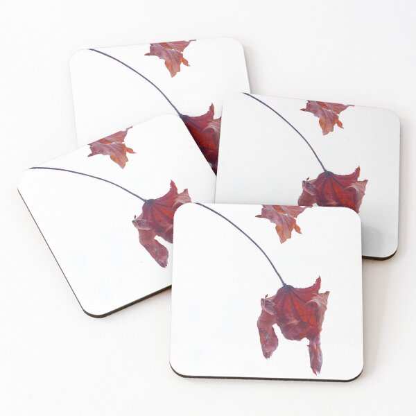 Item preview, Last leaves. designed and sold by Paul Pasco.