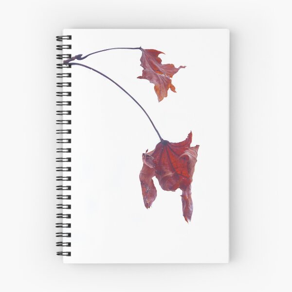 Item preview, Last leaves. designed and sold by Paul Pasco.