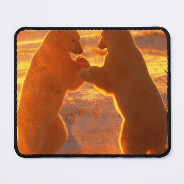 Item preview, Polar Bear canvas, Polar Bear , animal, animals, Polar Bear wall art, Polar Bear artwork, wild, Polar Bear art,Polar Bear painting designed and sold by eyesight4vision.