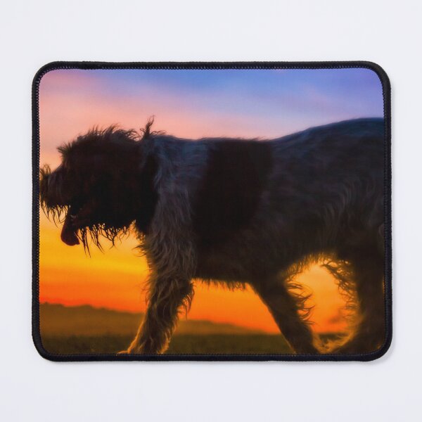 Item preview, Spinone Sunset Strolling designed and sold by FOLK ART FUSION by heidiannemorris.