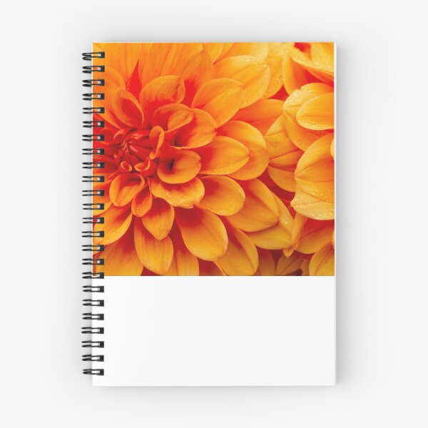 Item preview, Dahlias  designed and sold by AMoncurPhoto.