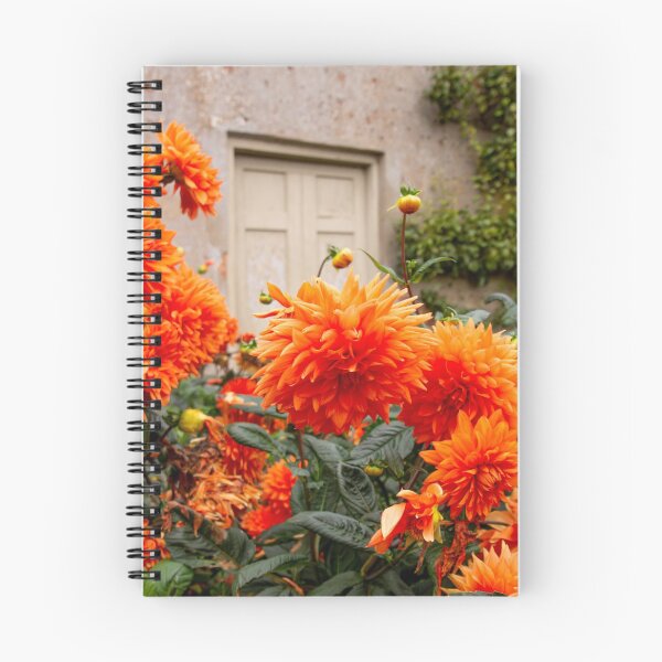 Item preview, Dahlias in the Walled Garden designed and sold by AMoncurPhoto.