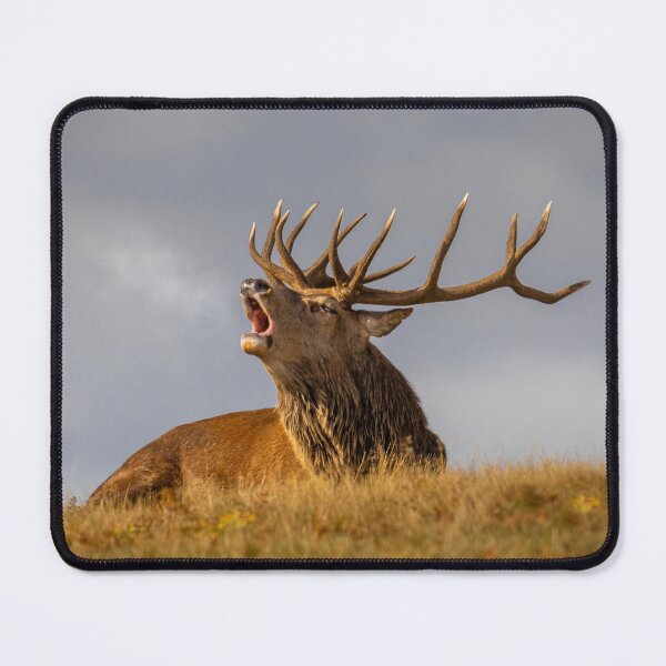 Item preview, Bellowing Stag designed and sold by Rjmcveigh.