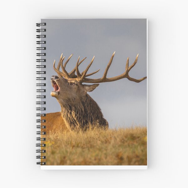 Item preview, Bellowing Stag designed and sold by Rjmcveigh.