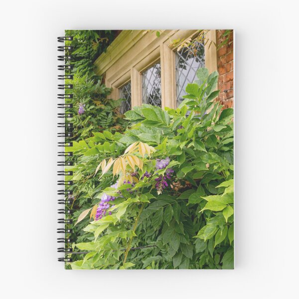 Item preview, Wisteria at Blickling Hall, Norfolk designed and sold by AMoncurPhoto.