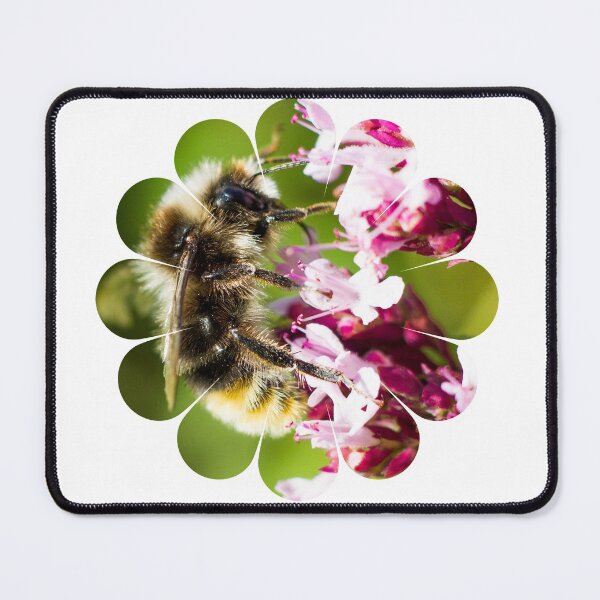 Item preview, Honey bee designed and sold by FOLK ART FUSION by heidiannemorris.