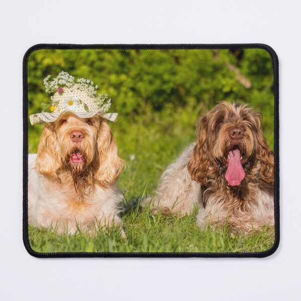 Item preview, Summer Picnic Spinone by heidiannemorris designed and sold by FOLK ART FUSION by heidiannemorris.