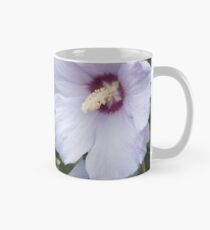 Rose von Sharon Blüte Tasse
