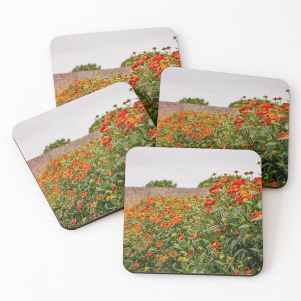 Item preview, The Walled Garden at Felbrigg  designed and sold by AMoncurPhoto.