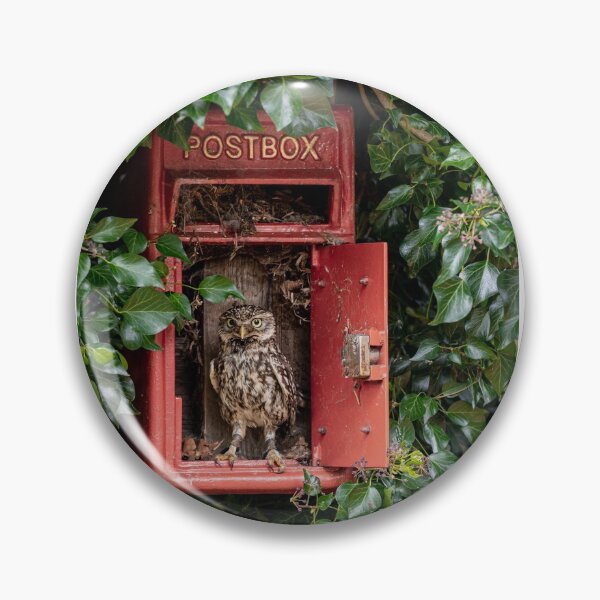 Item preview, Owl in the Post designed and sold by Rjmcveigh.