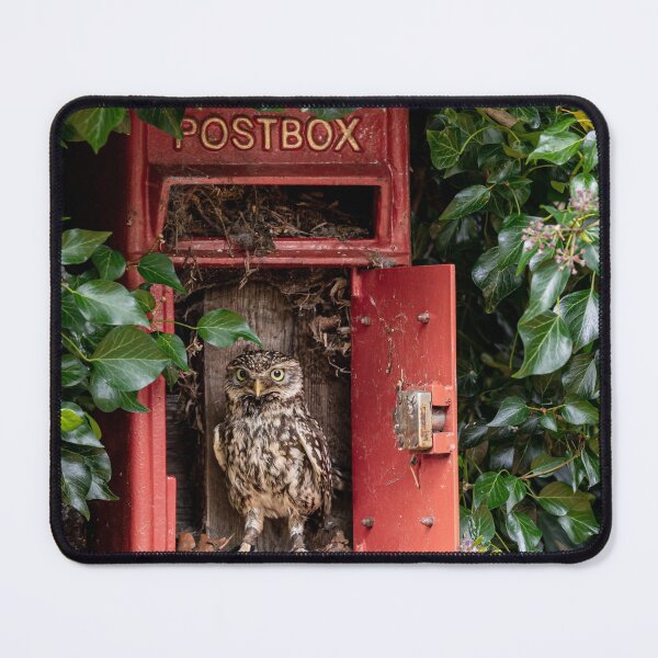 Item preview, Owl in the Post designed and sold by Rjmcveigh.