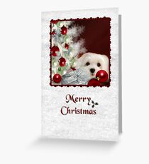 Snowdrop the Maltese Christmas Card Greeting Card