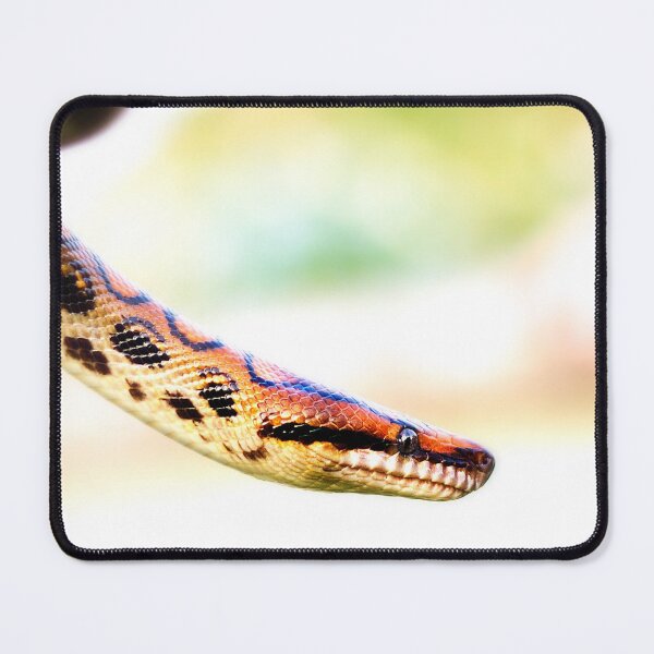Item preview, Rainbow Boa designed and sold by FOLK ART FUSION by heidiannemorris.