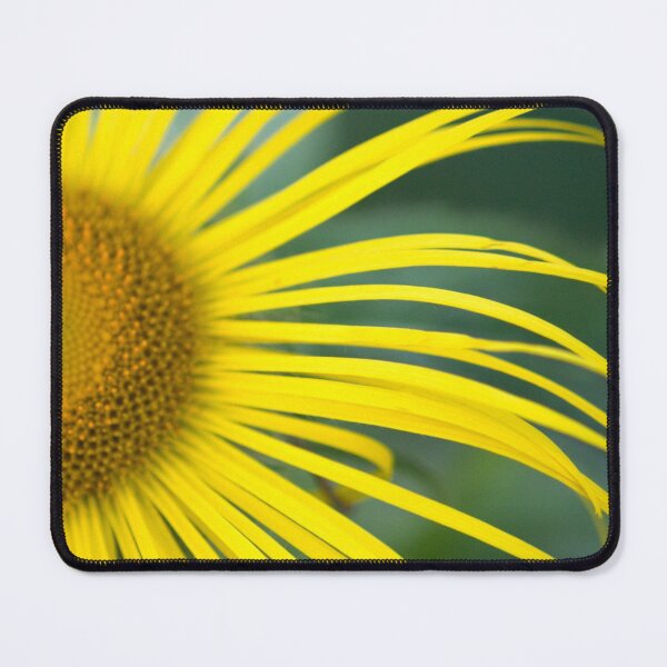 Item preview, Inula Hookeri designed and sold by FOLK ART FUSION by heidiannemorris.