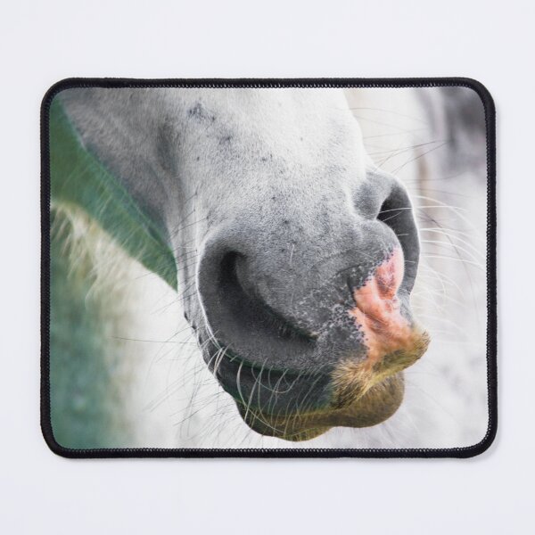 Item preview, A white horse is most easily lost in a snowstorm designed and sold by FOLK ART FUSION by heidiannemorris.