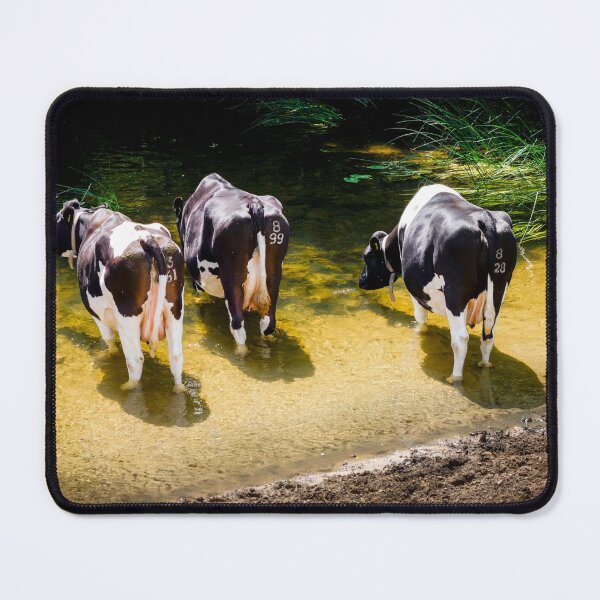 Item preview, Three cows in the River Avon designed and sold by FOLK ART FUSION by heidiannemorris.