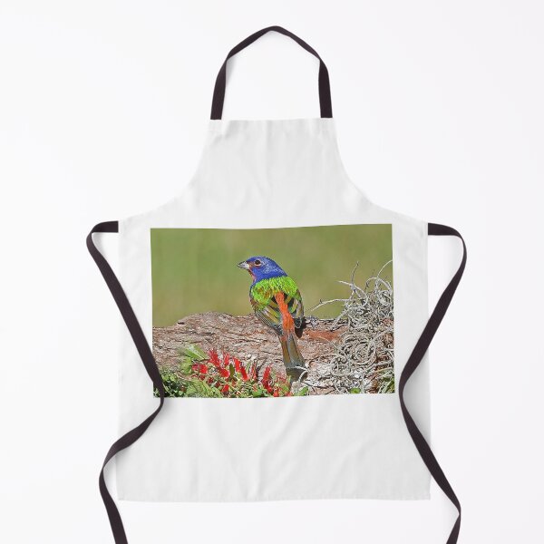 Item preview, Painted Bunting Bird Photograph Notecard designed and sold by candiscamera.