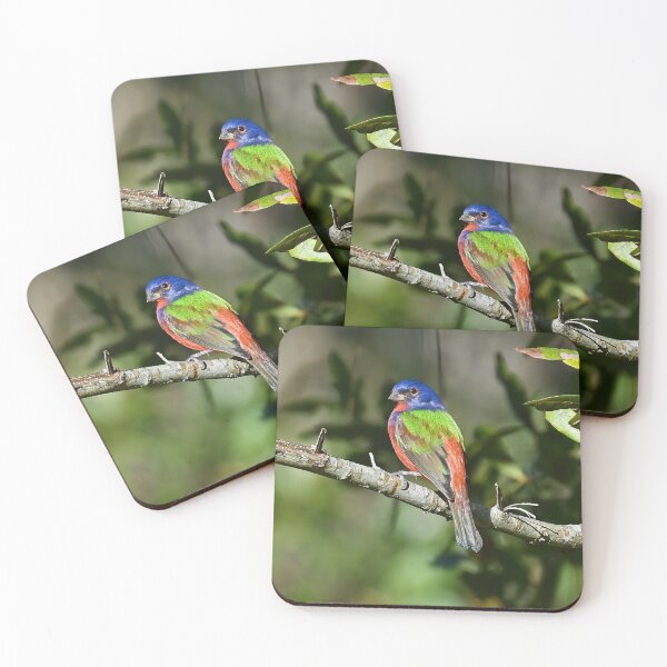 Item preview, Painted Bunting Bird Photograph Notecard designed and sold by candiscamera.