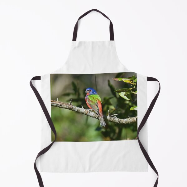 Item preview, Painted Bunting Bird Photograph Notecard designed and sold by candiscamera.