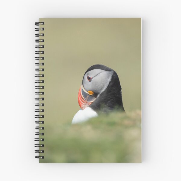 Item preview, Puffin designed and sold by AnthonyZed.