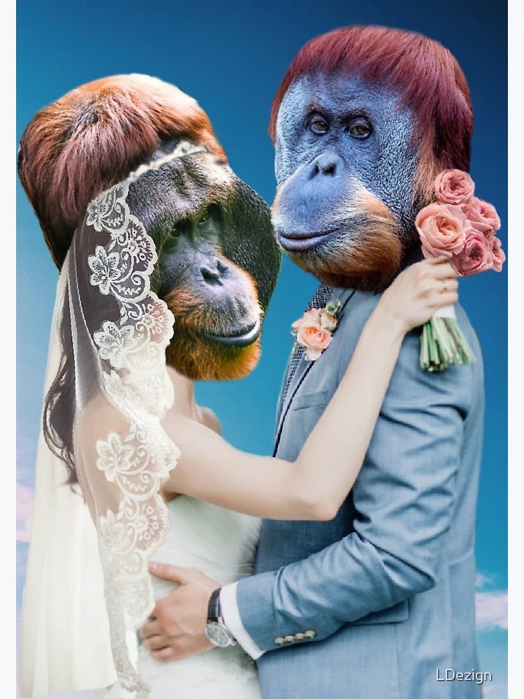 Monkey Love