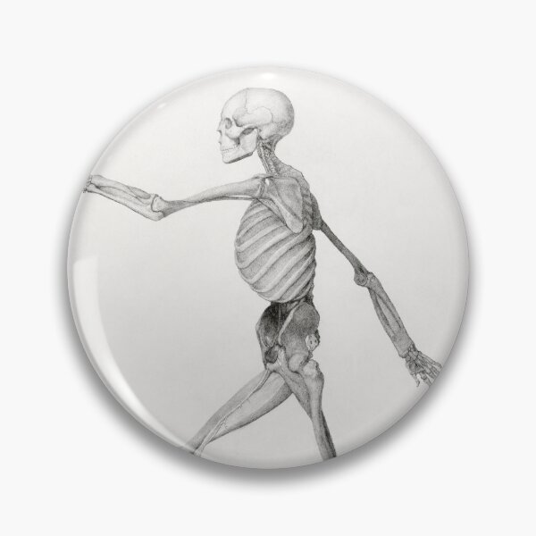 Item preview, Human Skeleton, drawing by George Stubbs designed and sold by Aleksandra P.