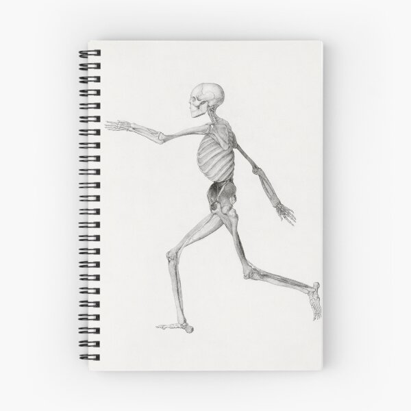 Item preview, Human Skeleton, drawing by George Stubbs designed and sold by Aleksandra P.