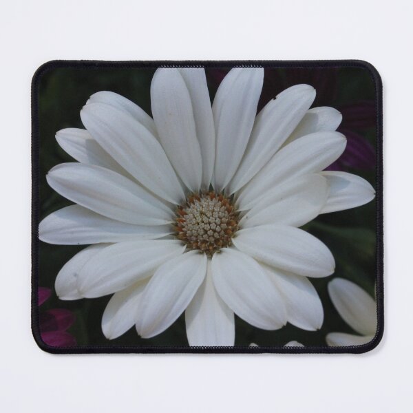 Item preview, Blooming White flower designed and sold by SariePhotograph.