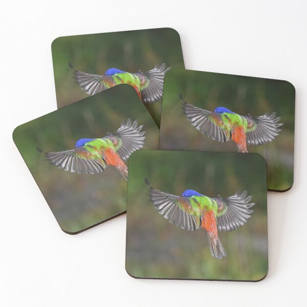 Item preview, Painted Bunting Bird Flying Colors designed and sold by candiscamera.