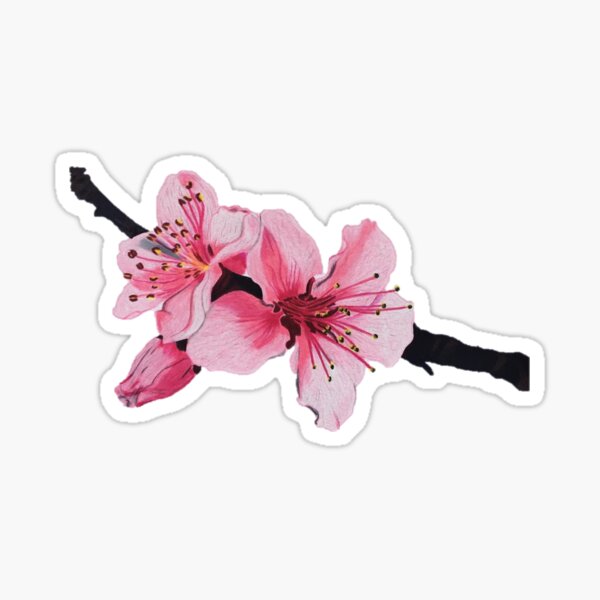 Sticker Blumenkleid Redbubble