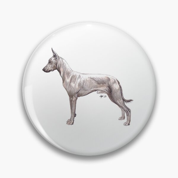 Item preview, Xoloitzcuintle - Mexican Hairless Dog - Breed Show Stack Stand designed and sold by Amber Westwood.