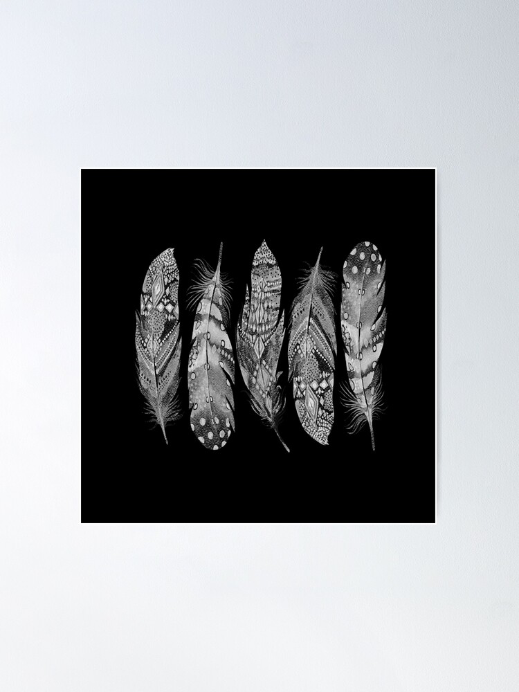 Feathers on white print by Editors Choice