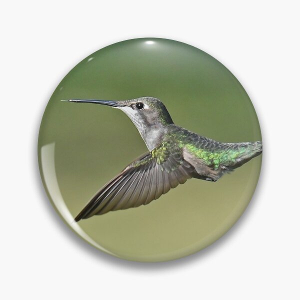 Item preview, Ruby Throated Hummingbird Female designed and sold by candiscamera.