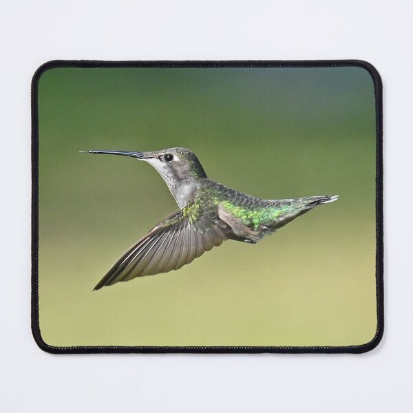 Item preview, Ruby Throated Hummingbird Female designed and sold by candiscamera.
