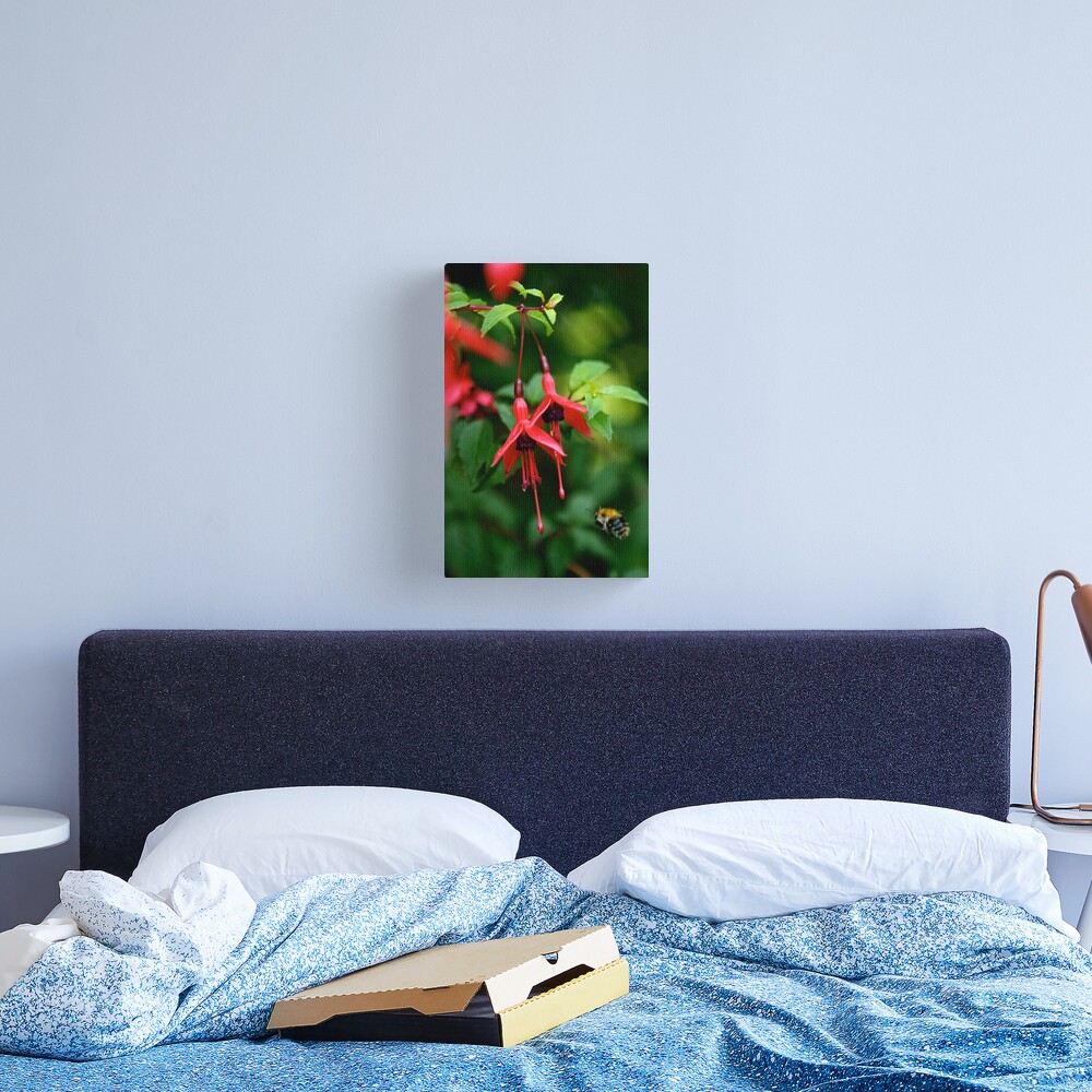 Wild Fuchsia at Loch Na Fooey (tall) Canvas Print