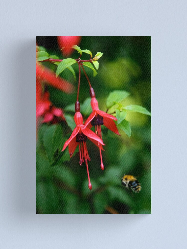 Alternate view of Wild Fuchsia at Loch Na Fooey (tall) Canvas Print