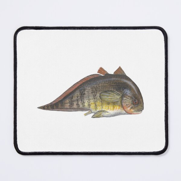 Item preview, Allenypterus montanus Paleozoic Fish designed and sold by LisasLair.