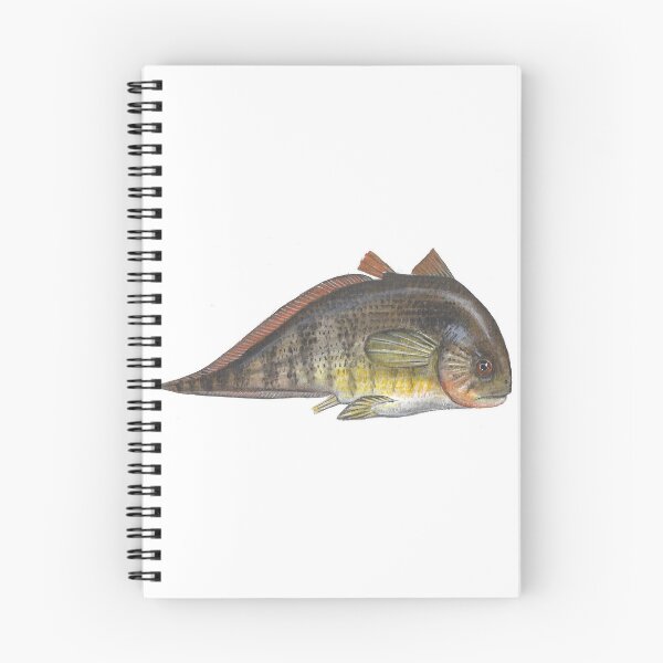 Item preview, Allenypterus montanus Paleozoic Fish designed and sold by LisasLair.