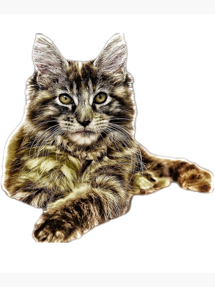 Discover maine coon cat TSHIRT Premium Matte Vertical Poster