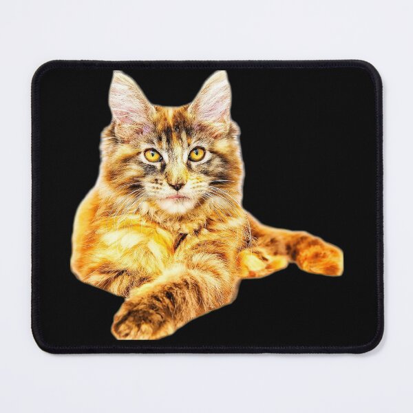 Item preview, maine coon cat TSHIRT designed and sold by GOLDFAMILYSHOP.