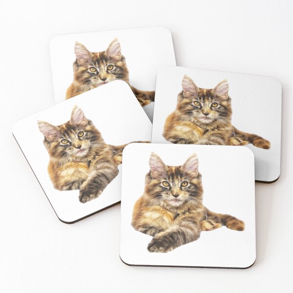 Item preview, maine coon cat TSHIRT designed and sold by GOLDFAMILYSHOP.