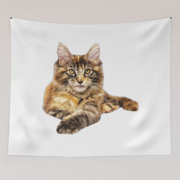 Item preview, maine coon cat TSHIRT designed and sold by GOLDFAMILYSHOP.