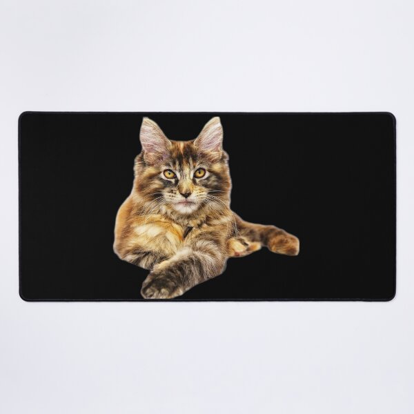 Item preview, maine coon cat TSHIRT designed and sold by GOLDFAMILYSHOP.