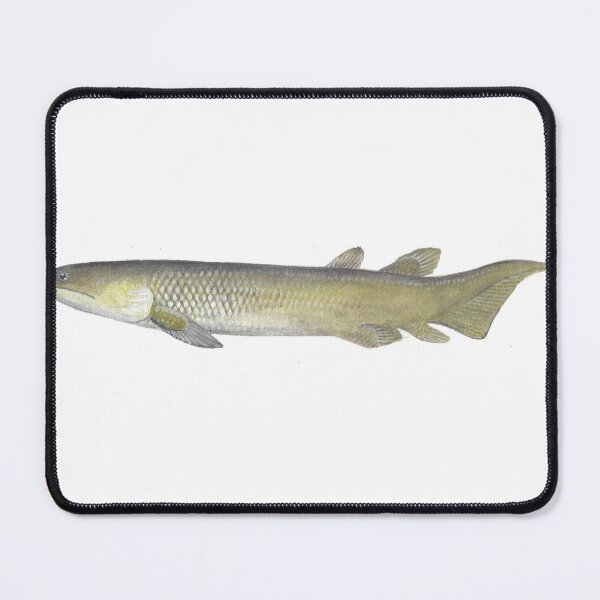 Item preview, Canowindra grossi Paleozoic fish designed and sold by LisasLair.
