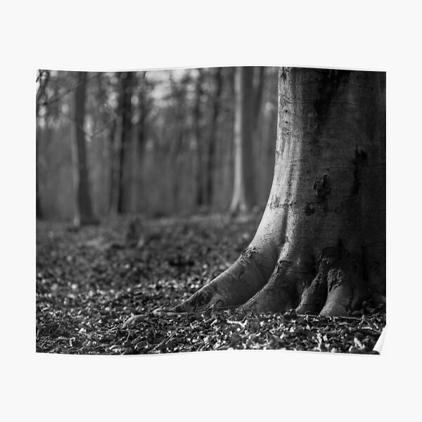 Rooted Poster