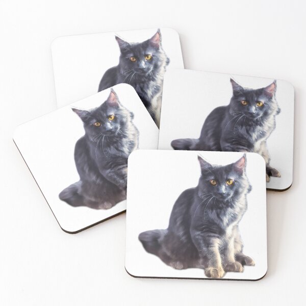 Item preview, maine coon cat TSHIRT designed and sold by GOLDFAMILYSHOP.